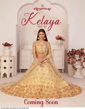 NARAYANI FASHION HOUSE KELAYA VOL 2