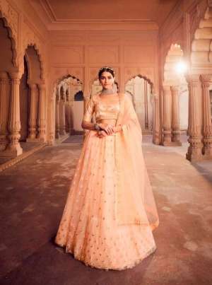 Vol-2 Exclusive Designer Partywear Heavy Nett Lehenga Choli