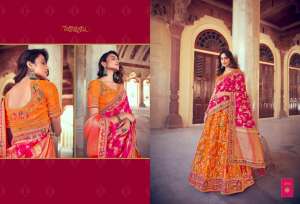 chanya choli