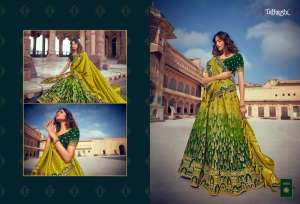 chanya choli