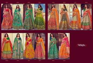 chanya choli