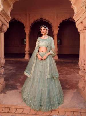 Vol-2 Exclusive Designer Partywear Heavy Nett Lehenga Choli