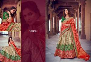 chanya choli