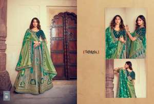 chanya choli