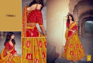 chanya choli
