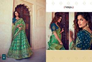chanya choli