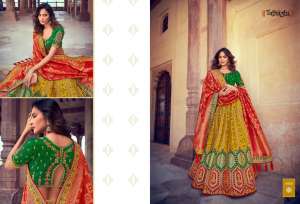 chanya choli