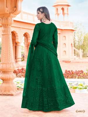 Presents Aanaya Vol-160 Net Anarkali Style Gown Catalog