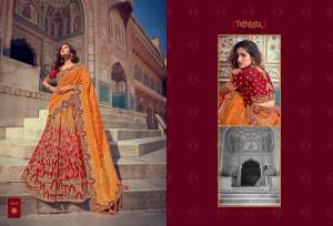 chanya choli