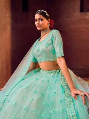 Vol-2 Exclusive Designer Partywear Heavy Nett Lehenga Choli