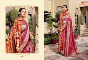 triveni EK AASMA VOL 2 26749