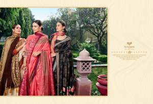 triveni EK AASMA VOL 2 26751